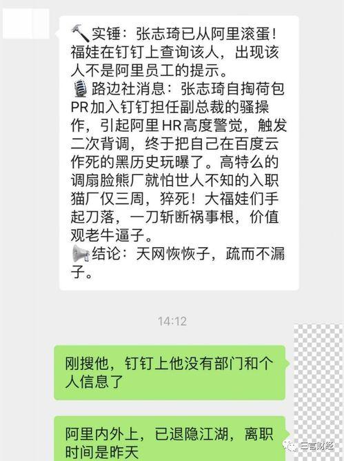 钉钉最新爆料消息,功能升级与全新体验即将来袭！