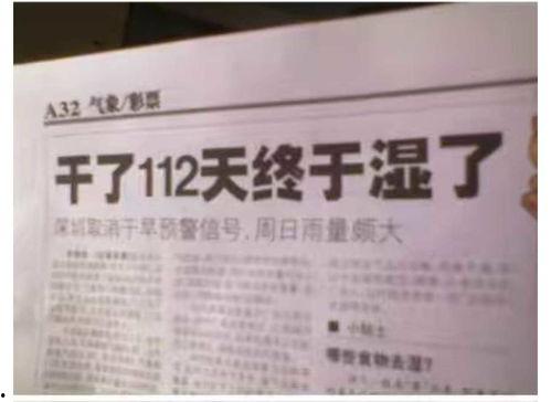 公益新闻爆料怎么写标题,聚焦社会热点，传递正能量