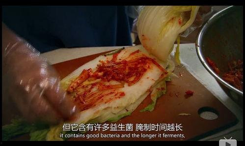 酸菜饱饱爆料原视频,原视频背后的故事与真相  第3张